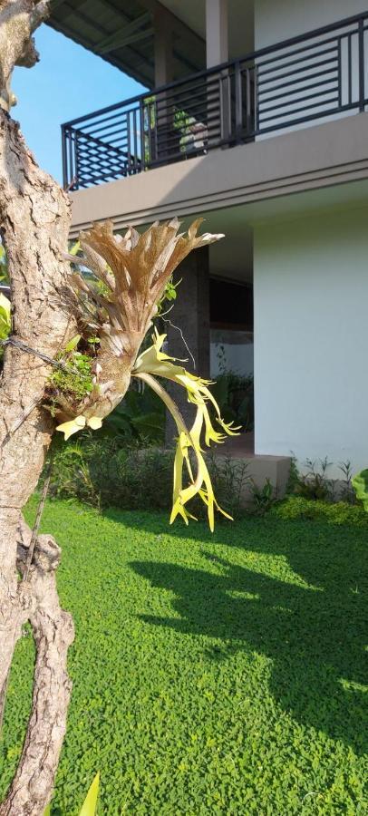 Indraprastha Cottage Ubud Zewnętrze zdjęcie